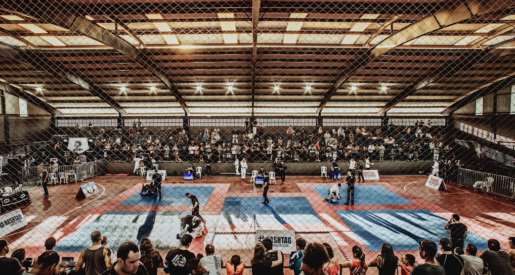A large indoor arena with a high ceiling, filled with an audience seated on bleachers. In the center, two fighters are engaged in a martial arts competition on blue and red mats. The scene is captured through a mesh fence, adding a textured foreground.